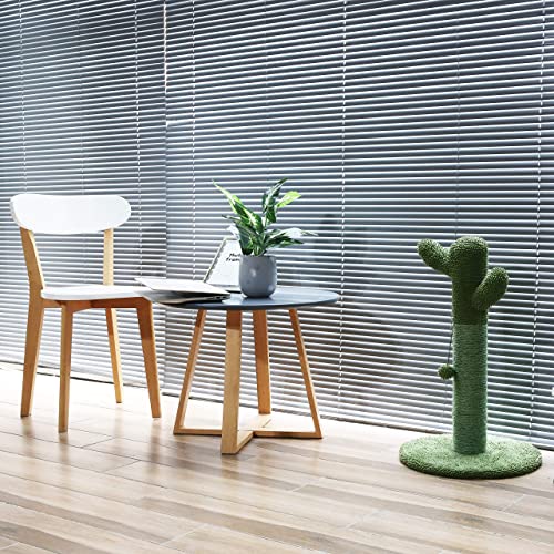 Petnpurr Cactus Cat Scratcher – Protect Your Furniture With Our Natural Sisal Cat Scratching Post With Teaser Ball Cat Toy #TOP1