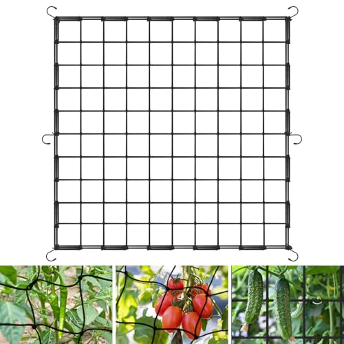 OFFCUP Scrog Netz Wachsen Zelt Netz 100 x 100cm Elastische Spalier Netz mit 6 Haken Grow Netz für Pflanzen Gemüse Obst Passend Pflanzennetz für Garten Balkone Hof Gartenarbeit