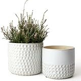 La Jolie Muse Ceramic Planter - 6.7+5.5 Inch...