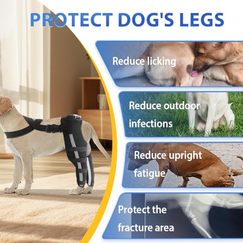Image of Double Dog Knee Brace for Torn Acl Hind Leg, Double Dog Leg Braces for Back Leg for Support,Acl Brace for Dogs, Built-In Hard Metal Spring Support,Outer Night Reflective Strip,Adjustable Strap (Small)