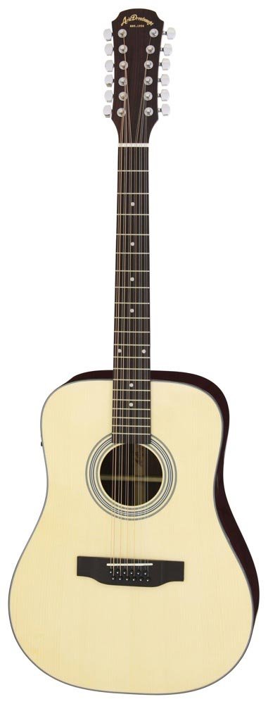 Amazon.co.jp: ARIA アリア エレアコギター12弦 AD-215/12 N : 楽器