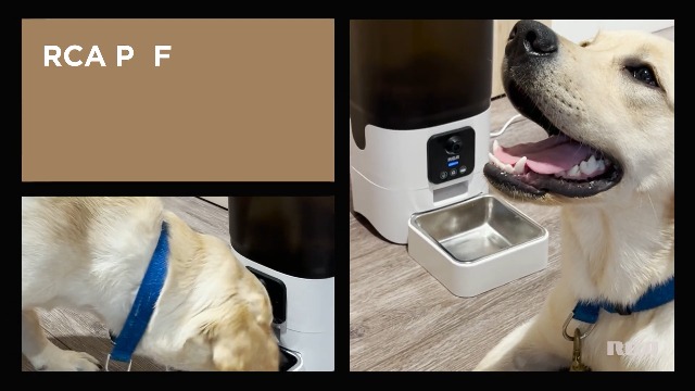 Dog Feeder Rca Pet Camera Treat Dispenser Dog Cam Treats Smart Dog