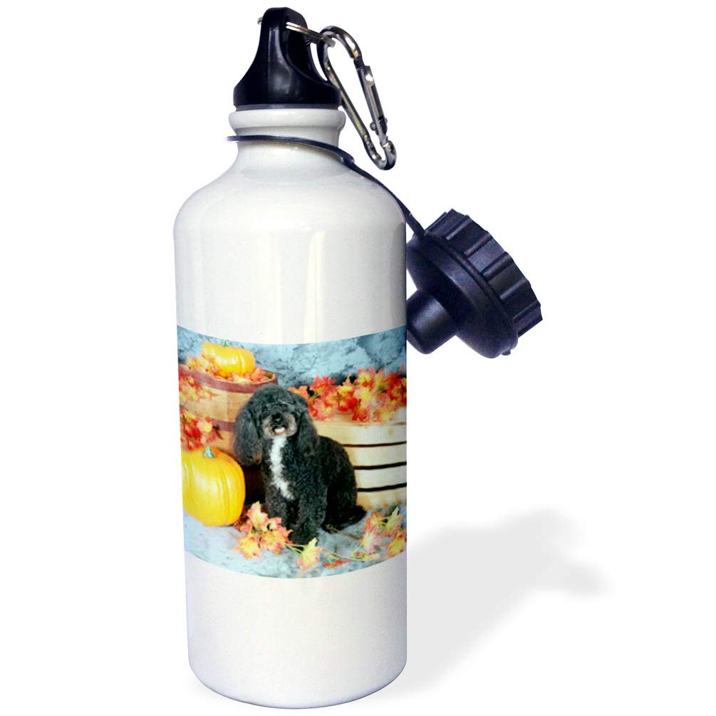 3dRose Toy Poodle Black Sports Water Bottle 21 oz White