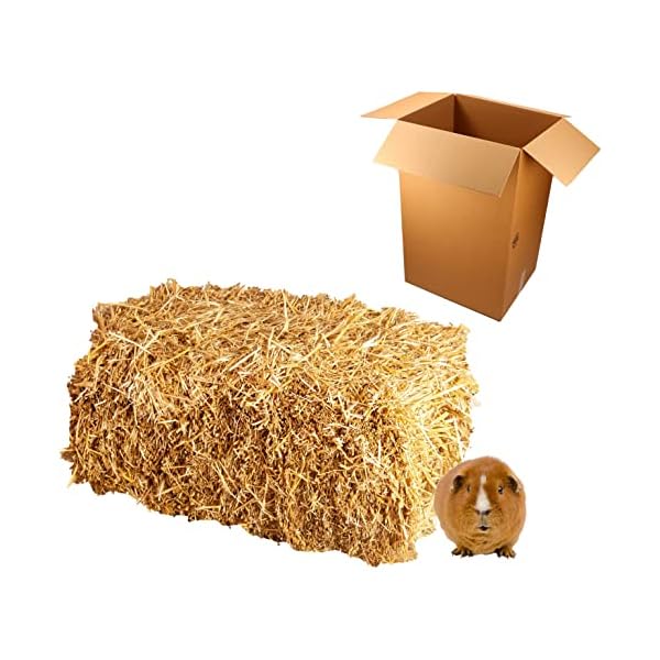 Palatina Werkstatt ®, Beste Qualitäts Strohballen direkt vom Bauern, frisch, aktuelle Ernte, naturbelassen als Einstreu für Kaninchen Meerschweinchen Hasen Futter Deko – Bild 4