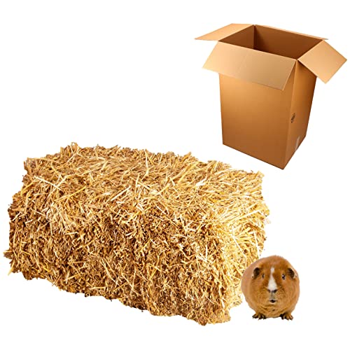 Elmato 12003 Botte de paille - 50x40x60 cm - Qualité Extra