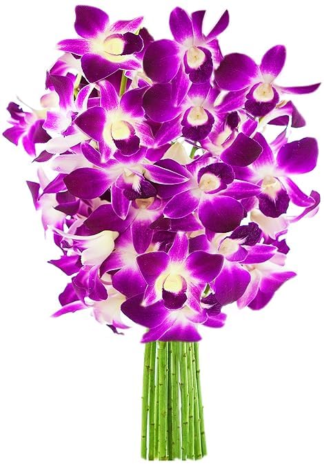 Image of KaBloom-10 Purple orchid Bouquet,Flowers for Valentine, Mother's Day