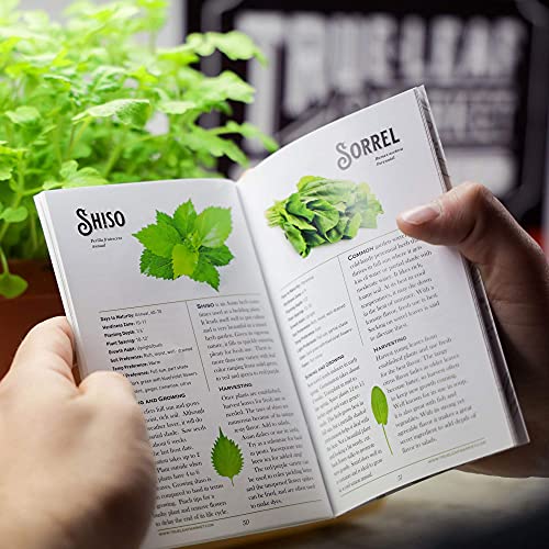 Culinary Herb Seeds Variety Pack - Outdoor & Indoor Herb Garden Kit - 10 Non-Gmo Herb Garden Seeds For Planting & Book - Basil Seeds, Dill Seeds, Rosemary Seeds, Thyme Seeds, & More #TOP3