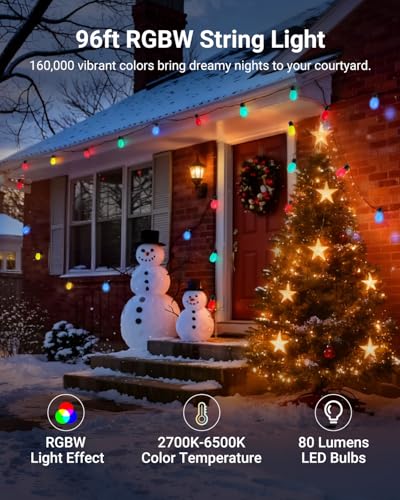 Image of NEEWER 96ft Outdoor String Lights, App Control Smart AI RGB IC W Hanging Outside Warm White Patio Balcony Backyard Lighting, IP65 Waterproof, 30 LED Bulbs,50+ Scenes, Compatible with Alexa Google,NR01