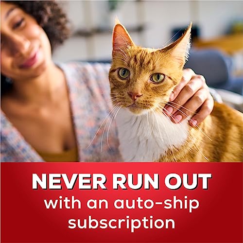 Image of Purina Tidy Cats Tidy Care Comfort Scented Clumping Cat Litter Odor Control Low Dust Formula - 24 lb. Box
