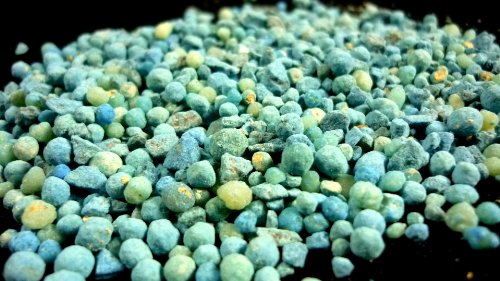 Preisvergleich Produktbild 10Kg Volldünger Blaudünger Blaukorn Universaldünger