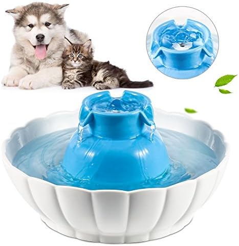 Amazon Com Youthink Cat Water Fountain 2l Large Capacity Healthy And Hygienic Automatic Ultra Quiet Pet Water Fountain Cat Water Dispenser With 1 Filter Pet Drinking Fountain For Cat And Dog Blue