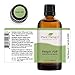 Plant Therapy Respir Aid Essential Oil Blend 100 mL (3.3 oz) Sinus, Airway and Congestion Clearing Synergy Blend 100% Pure, Undiluted, Natural Aromatherapy, Therapeutic Grade
