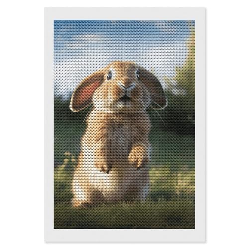 Kit d'art diamant lapin mignon ELUZZIZUT broderie diamants ronds