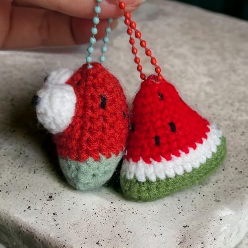 Handmade Crocheted Cute keychain, Car Decor, Keyring Accessories, Backpack keychain, Back to School Gift.4