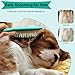 MAEELOU Soft Bristle Cat-Ear Puppy Brush Small Dogs Gentle Comb Grooming Tool Yorkie Shih Tzu Maltipoo Maltese (Sky Blue)