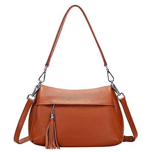 OVER EARTH Genuine Leather Handbags for Women Crossbody Purse Ladies Small Hobo Shoulder Bag(O111-2E Brown)