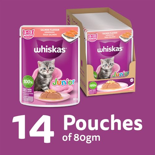 Image of Whiskas Junior Kitten (2-12 Months) Wet Cat Food, Salmon in Jelly Flavour, 80 g (Pack of 14), Hydrating Food Made with Real Fish, 100% Complete & Balanced Nutrition for Kittens
