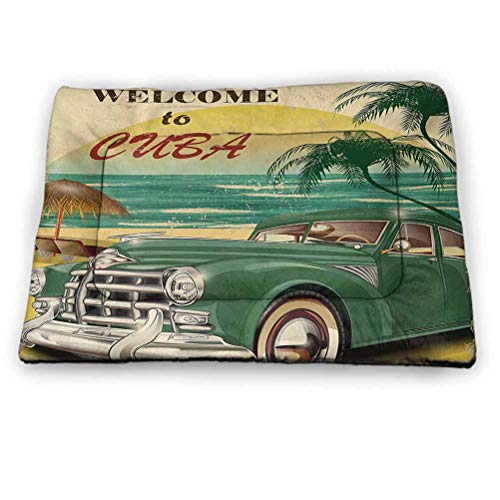 DayDayFun Retro Pet Mat Bed Nostalgic Welcome to Cuba Artsy Print with Classic