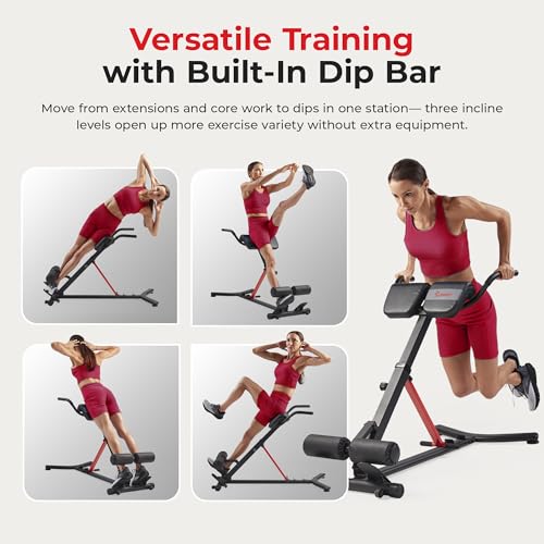 Image of Sunny Health & Fitness Foldable Roman Chair, Back Hyperextension Bench | Adjustable Height, Folds Flat for Storage, Built in Dip Station, Targets Back, Abs & Core, Crunches & Back Extensions