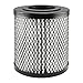 Baldwin Filters P1563 Heavy Duty Oil Filter Element (6-7/8"x5-29/32"x6-7/8")