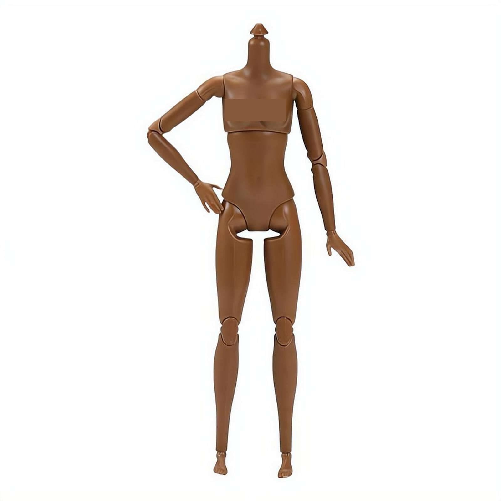 1/6 Scale Female Supermodel Doll Body,Highly Articulated 22 Joint Figure,26cm Smooth Plastic Mannequin for Artists,Compatible with 1/6 Scale Heads and Shoes,Ideal for Display and Collection (brown)