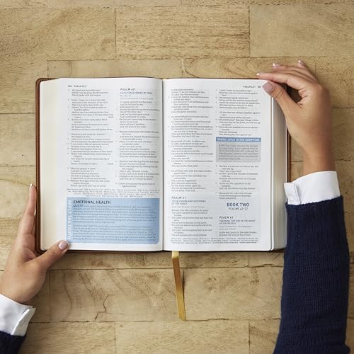 Image of Student Study Bible: A Guide to Knowing and Living God's Word (NKJV, Brown Leathersoft, Red Letter, Comfort Print)