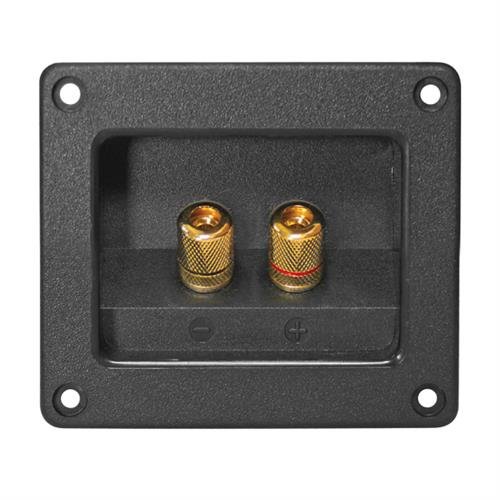 Bornier d'enceinte, Rectangulaire