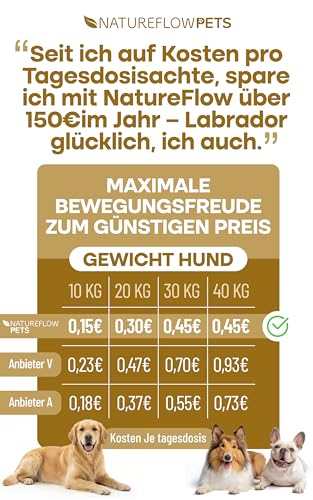 Gelenktabletten Hunde – Test SEHR GUT Made in Germany mit Grünlippmuschel, MSM und Teufelskralle - Keine Kapseln, hohe Akzeptanz Gelenktabletten Hund - 100 Stück