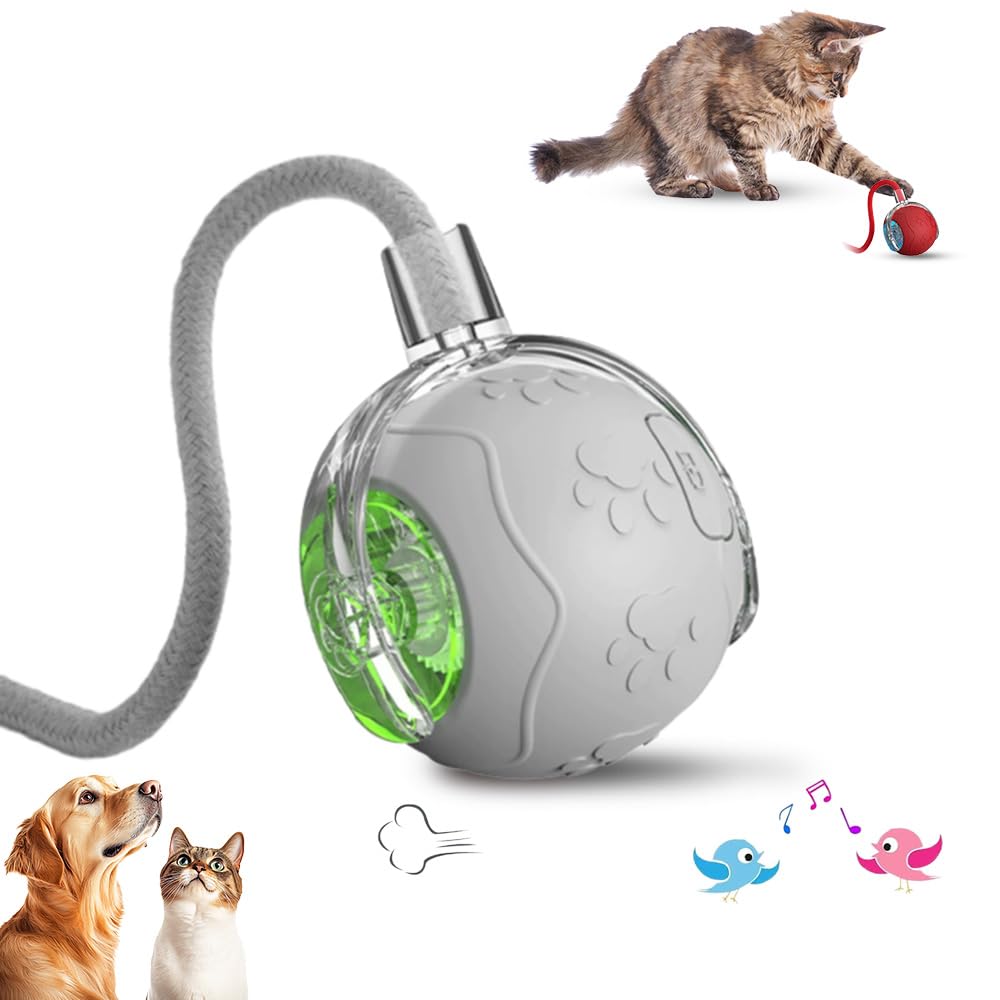Hknbj Interactive Cat Toys Ball for Indoor Cats, 2025 New Speedy 3.0 Tail Cat Toy, Automatic Moving Cat/Dog Balls, Electric Rolling Ball Toy for Bored