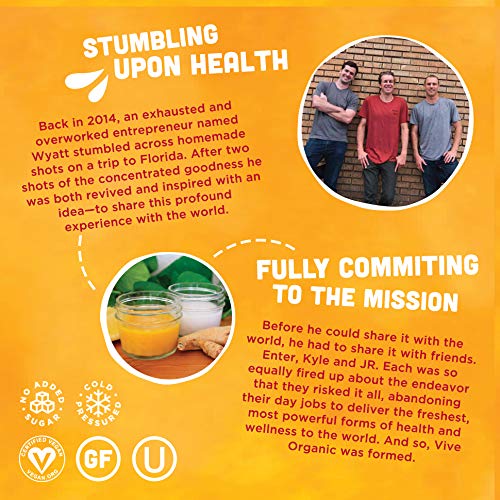 Immunity Boost (Original) - Functional Juice Shot by Vive Organic | The Ultimate Proactive Defense Combo | USDA Organic, Vegan, Cold Pressed, Ginger Root, Turmeric Root, Echinacea, Black Pepper
