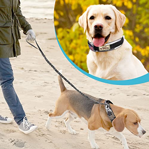 Jmpet Tactical Dog Collar - Adjustable Nylon With Handle, Metal Reinforced Buckle D Ring Quick Release Military Training Collar, Including Airtag Protective Sleeve, Suitable For Medium And Large Dogs #TOP6