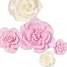ling's moment Crepe Paper Flowers 5 X Pink & White Handcrafted Giant Paper Flowers Classic Large Flower Paper Flower Decorations for Party Wedding Backdrop Nursery Bridal Shower Archway Decoration