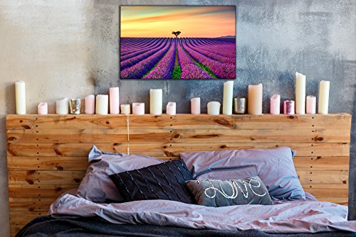 Cuadro PVC Impresión Digital Zen Lavanda