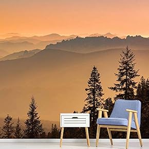 signwin Wall Mural Sunset Sunrise Background Nature Scenery...