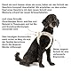 Vest Harness curli Clasp Air-Mesh Moss XS