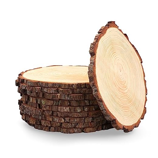 Set of 10 Rustic Large Wood Slices