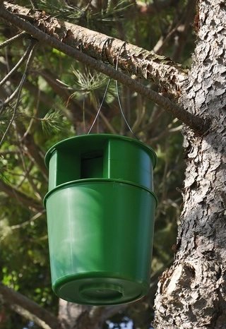 PROCEREX® Cubo trampa procesionaria del pino (no incluye la feromona)
