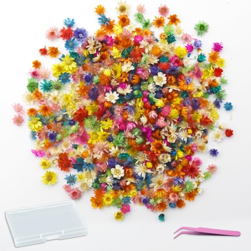 PXBSNB 420 St&uuml;ck Trockenblumen zum Basteln, Mini Trockenblumen, Nat&uuml;rliche Getrocknete Blumen, Bunte Trockenblume Klein, Trockenblume Deko f&uuml;r DIY Seife Nagel Duftkerzen Scrapbooking Harzarbeiten