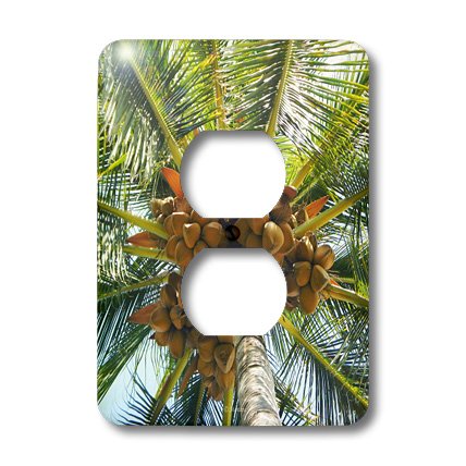 Cache 2 prises Cacao Tree Hawaii 3dRose plaque murale déco multicolore - 3