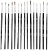 Virtuoso 15-Piece Fine Paintbrushes, Handmade Detail Paint Brush Set - For Acrylic, Watercolor, Oil - Includes Deluxe Carry-Case