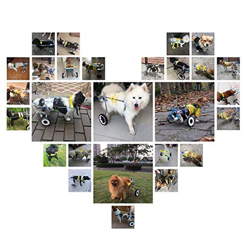 BEETLA Adjustable Pet Wheelchair for Small Dog Cat/Doggie/Puppy Walk, 2 Wheels Cart Pet Wheelchair for Handicapped Hind Legs (XS-1:Height: 7.48"-13.78", Hip Width: 5.51"-8.66") - Thumbnail 5