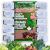 Leafy Greens Variety Pack – Hydroponic/Indoor/Outdoor. Heirloom Lettuce Seeds, Spinach Seeds, Arugula Seeds, Kale Seeds and More | Oh! Canada Seeds | Seeds for Planting #1