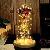 N&T NIETING Valentines Day Gift for Her, Enchanted Rose in Glass Dome with Led String, Eternal Glass...
