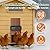 Automatic Chicken Coop Door Solar Powered with Timer&Light Sensor Remote Control 4Modes,Adjustable Anti-Pinch Strength&Weather Poof
