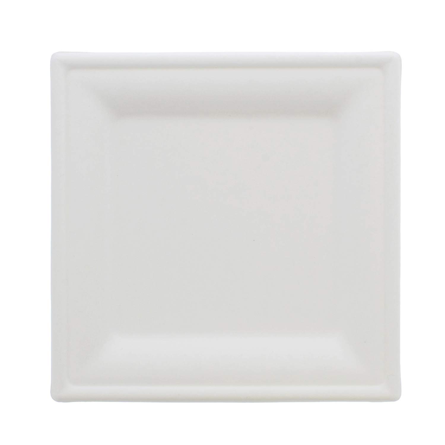 Bagasse Plates Compostable Plates White Paper Plates 100-Pack