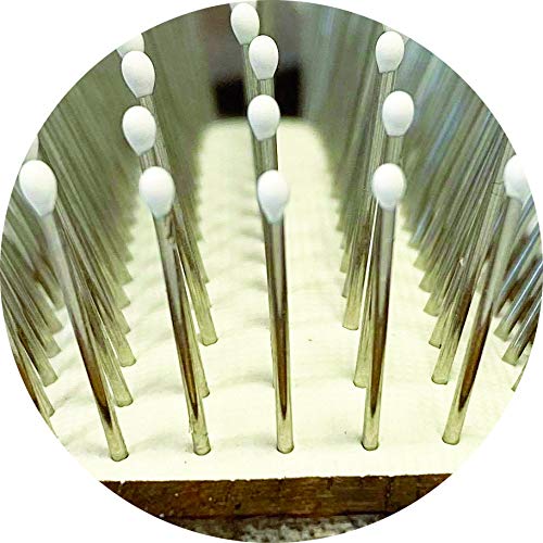 Amazon.co.jp: BIOGANCE マッサージブラシ 化粧箱入り 高級ナッツの木