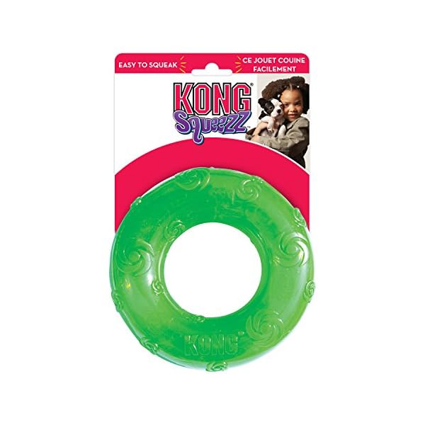 KONG Squeezz Ring Dog Toy, Large, Colors Vary KONG Squeezz Ring Dog Toy, Large, Colors Vary
