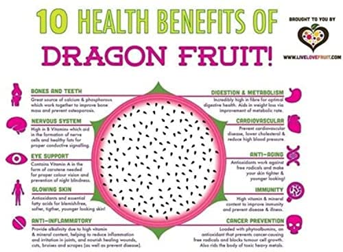 300 Seeds Red Dragon Fruit Seeds Thanh Long Pitaya Pitahaya Hylocereus Undatus Cactus Purple Dragon Fruit Pitaya/Pitahaya/Strawberry Pear #TOP3