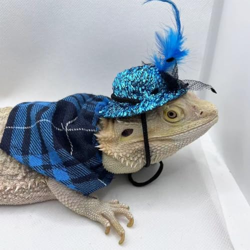Chapéu de dragão barbudo e lenço bandana lagarto, roupas para animais de estimação, acessórios de fa