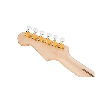 Amazon.com: Fender Richie Kotzen Stratocaster Electric